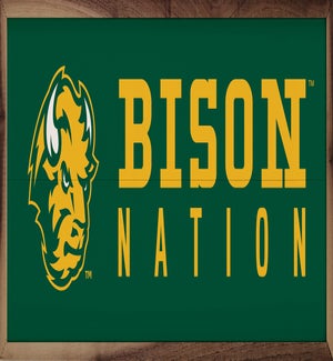 Logo Nation North Dakota State University